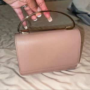 Rose Nude Purse 👛